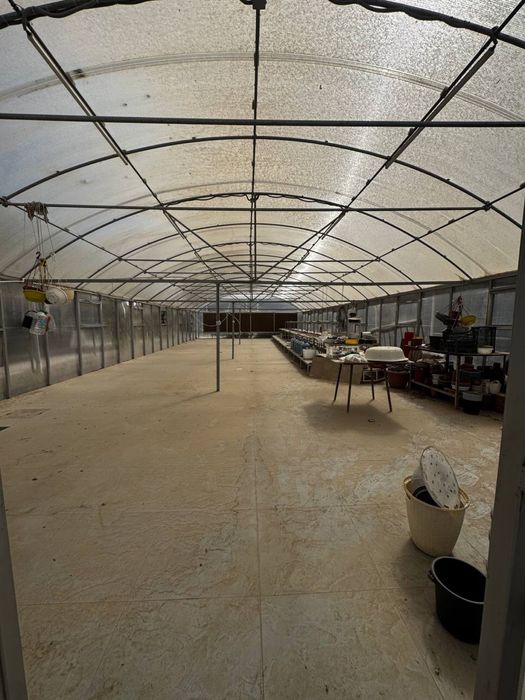 Yil davomida hosil yig'ish uchun katta zamonaviy ISSIQXONA!