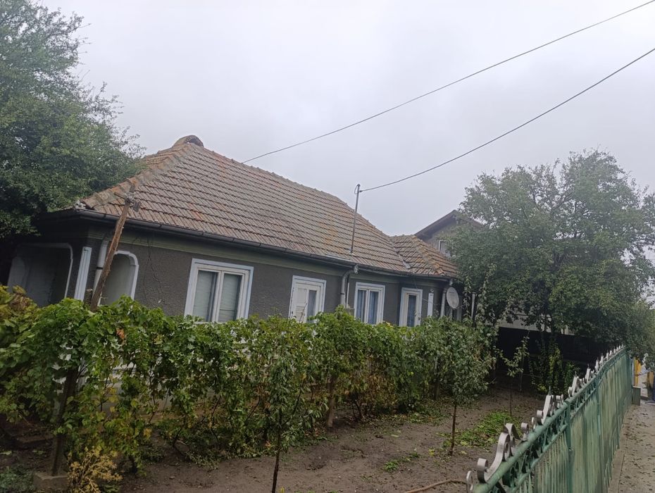 Case în cioranii de jos