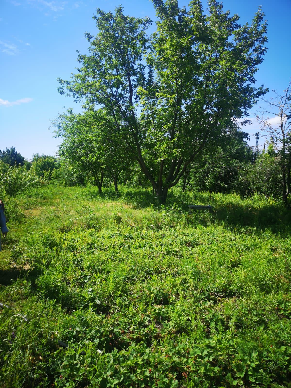 Продам землю под дачу