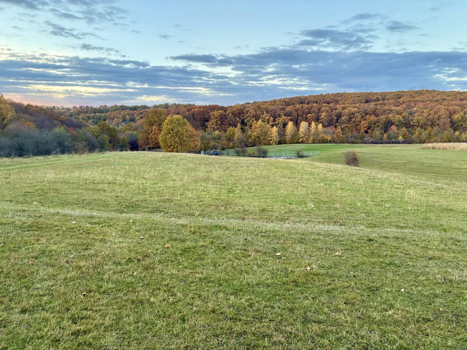 Proprietar – vând teren intravilan în Cărbunar, Maramureș