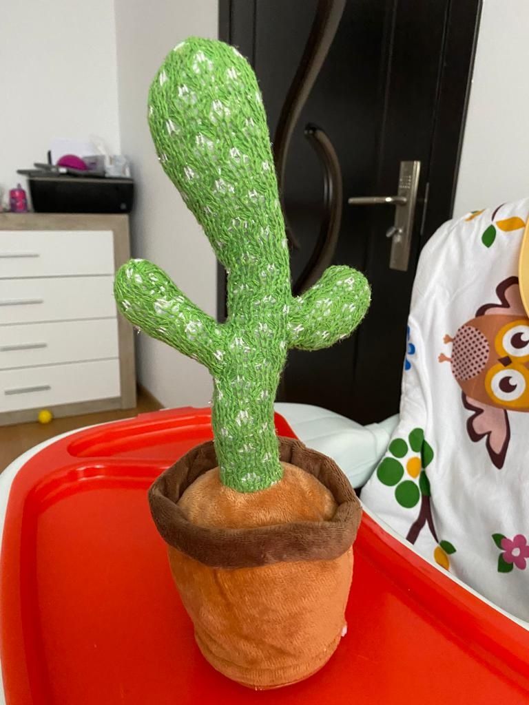 Vând cactus dansator cu multe melodii