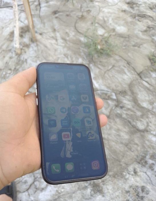 iPhone 13 Pro Max 256/100%