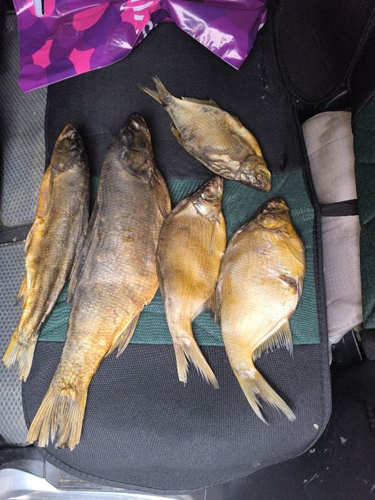 Продам рыбы копченные