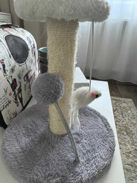 Cusca transport pisica