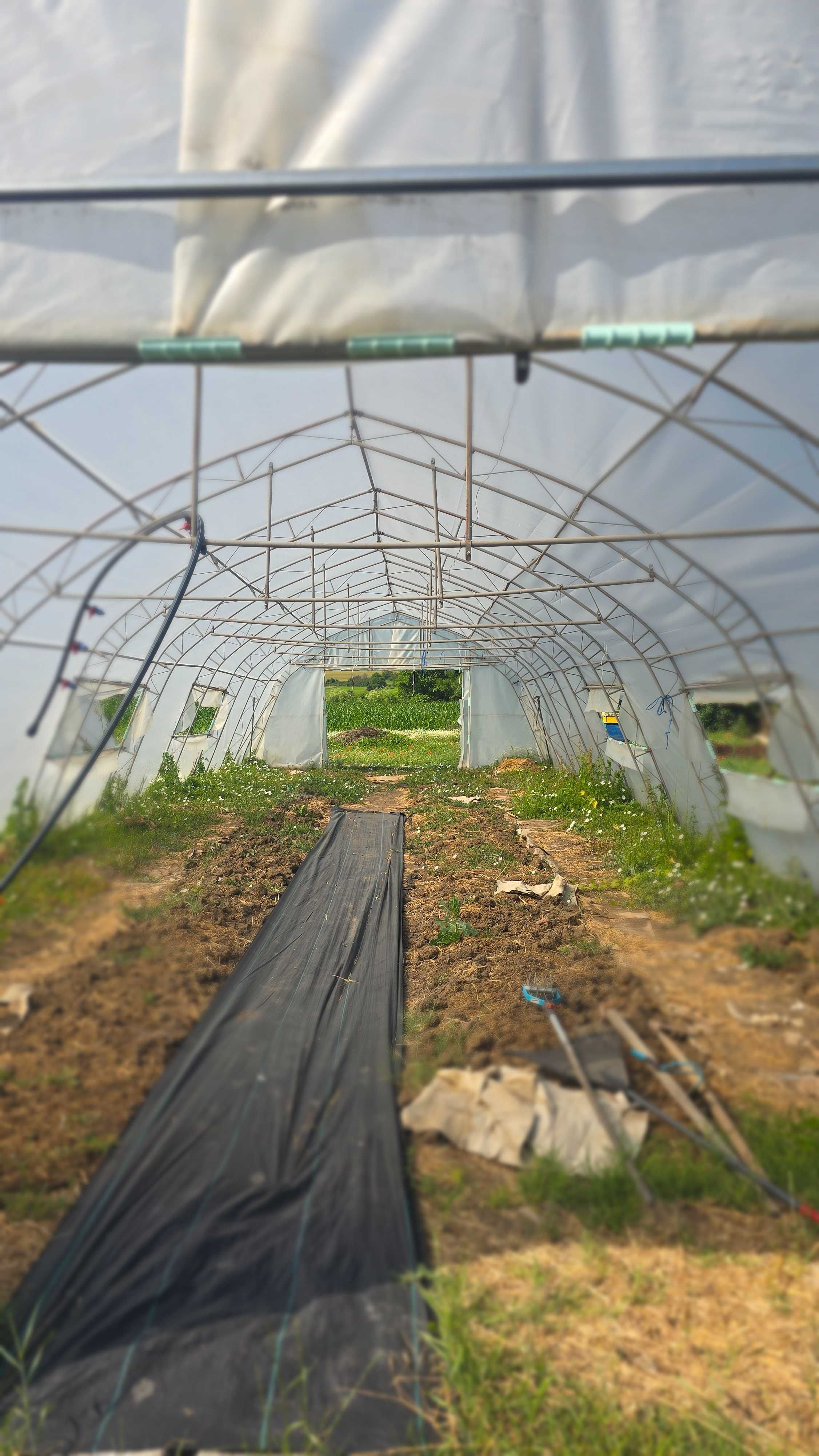 Продавам парници в отлично състояние, спешно!