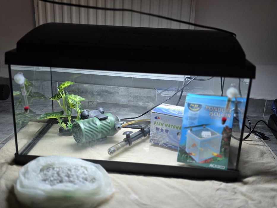 Set complet acvariu 40l