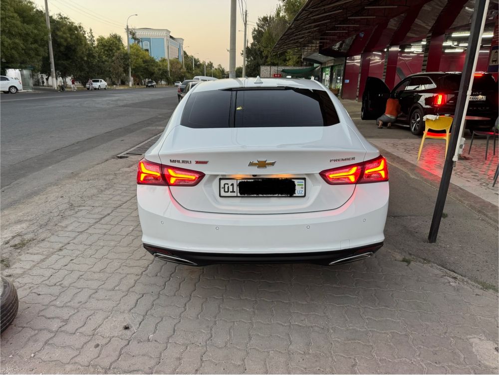 Malibu premier 2020