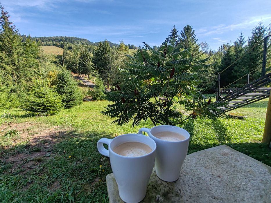 Cabana întreaga de închiriat,minim 2 nopți ,cu capacitate 4 persoane