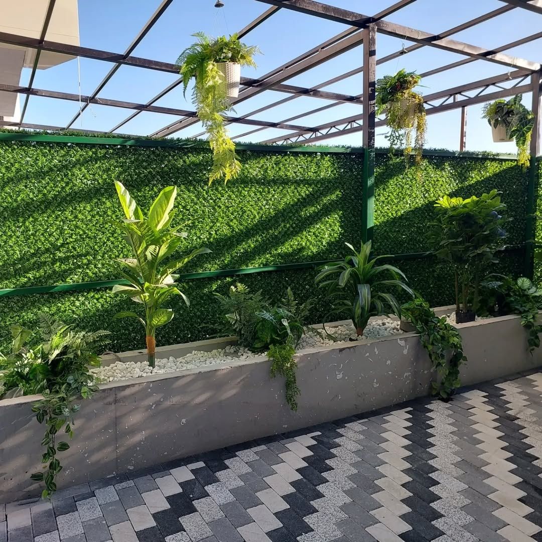 Suniyzabor #green #garden