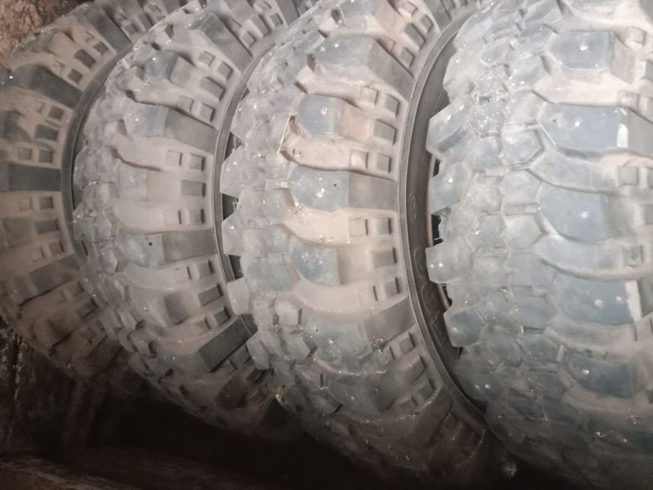 Шины Сафари 500.