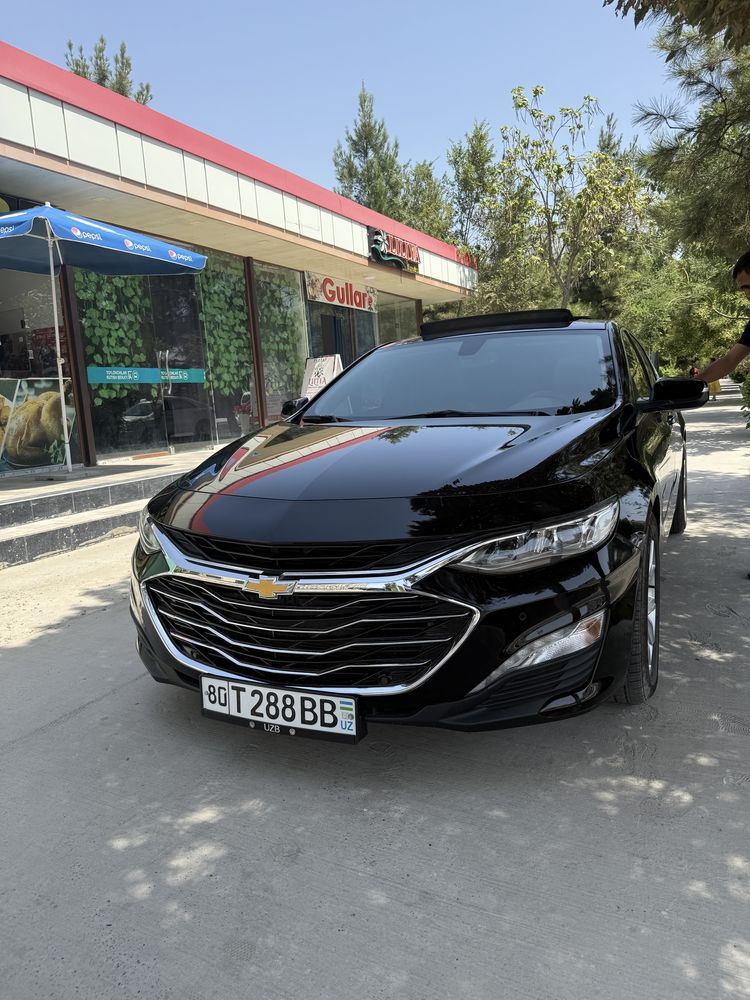 Malibu kortej xizmati