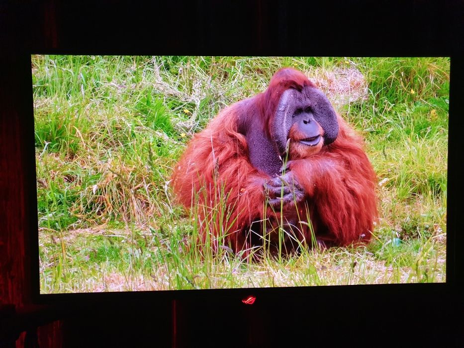 Monitor ASUS ROG Swift PG27UCDM Qd Oled