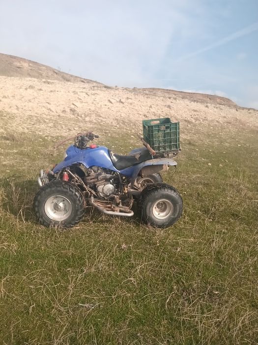ATV  smc barossa 250  2 pistoane  2 bucăți