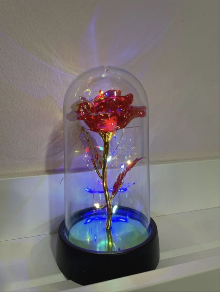 Cadou Trandafir in cupolă