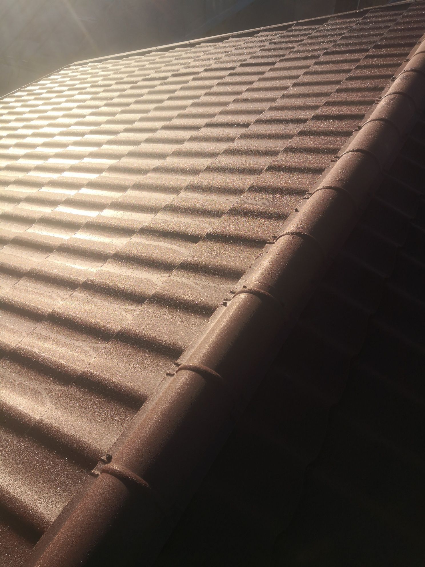 Velux tigla metalica bilka jgheaburi burlane reparatii acoperis