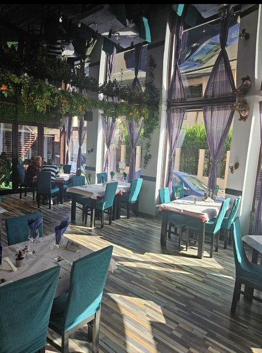 Vila,Decebal-Dristorului tradal