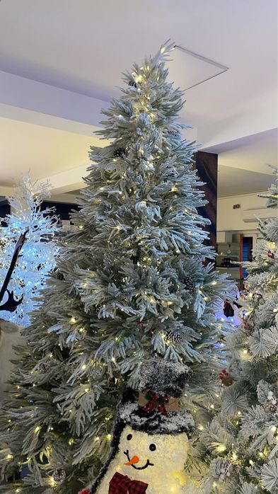 Brad Craciun nins cu led