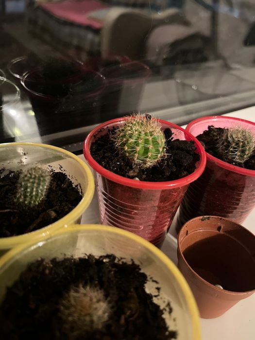 Обменяю или продам за символическую сумму