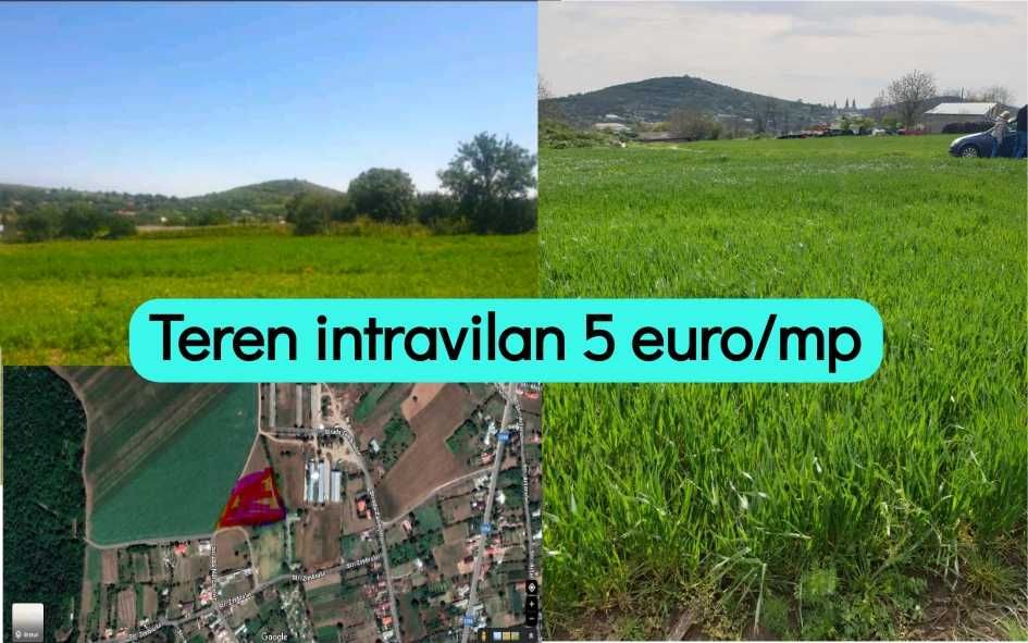 Ocazie. Teren 7000mp intravilan, sat Telita, Frecatei, jud. Tulcea.