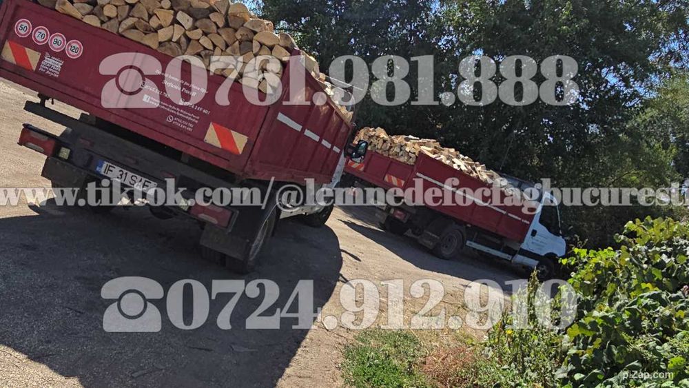 Cauti lemne de foc fag , vrac sau ambalate la plasa bigbag ?