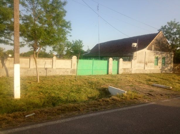 Casa de vanzare satul Pustiniş,județul Timiș,6500 mp