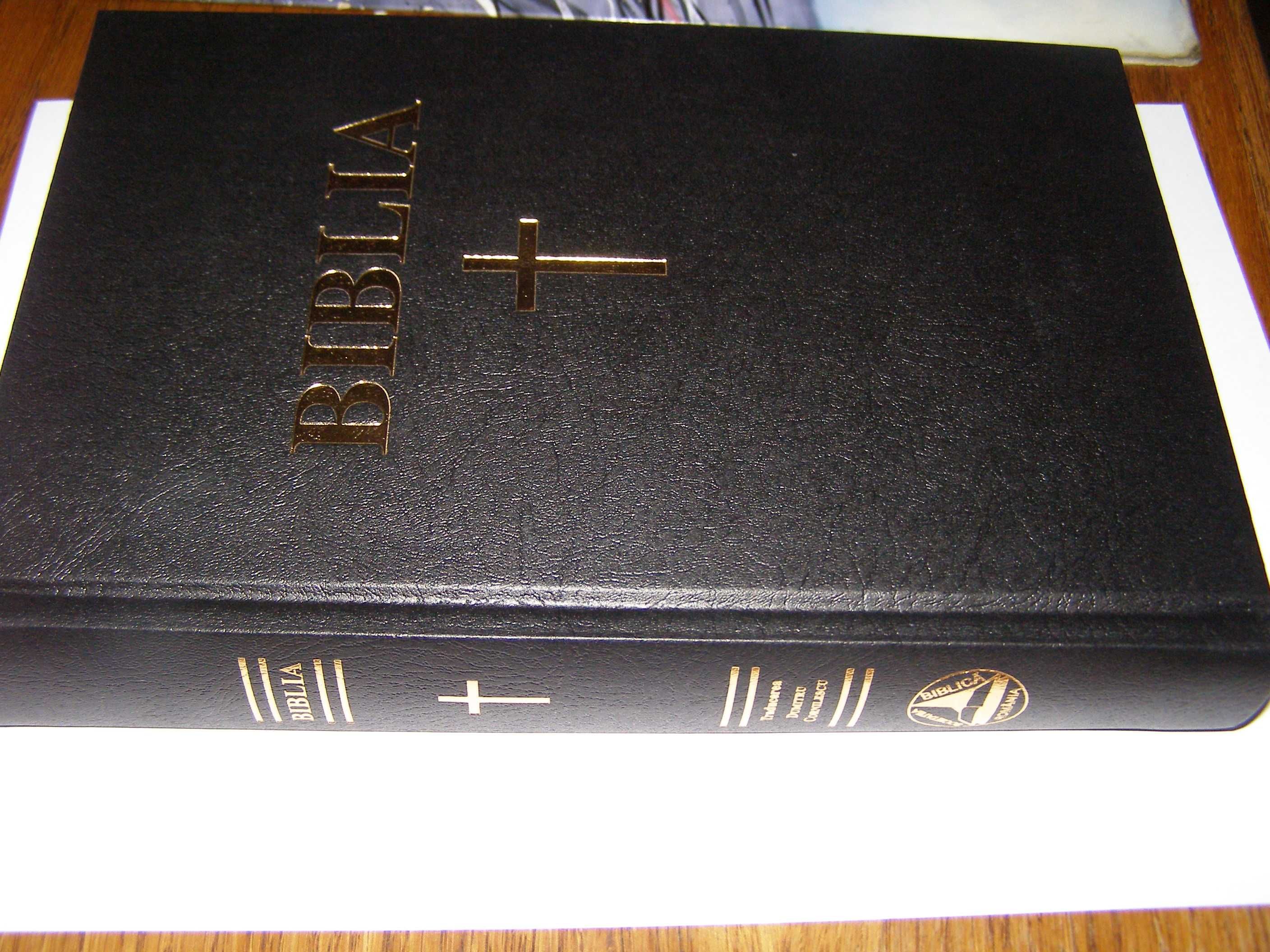 File din Biblie , Chisinau , 1990