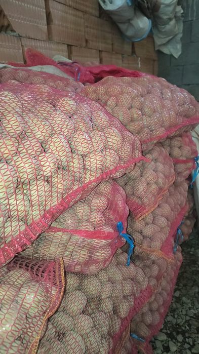 Cartofi pentru animale