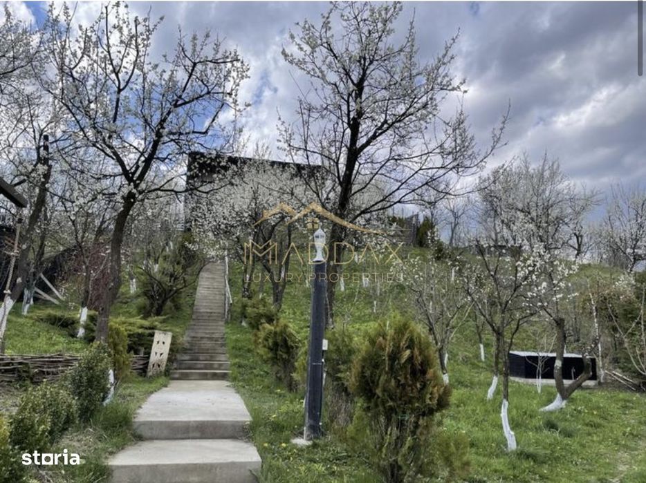 Casa de vacanta**Panorama spectaculoasa//Provita de Jos_Prahova