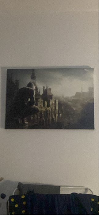 Assassin’s creed панорамни плакато(може отделно)