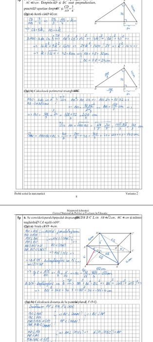 Meditații matematică gimnaziu - zona Paleu sau online