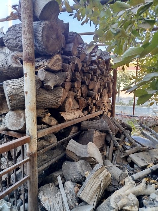 Утин сотилади тут дарахтидан