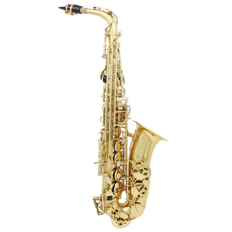 Saxofon Slade cu accesorii si cutie tip toc