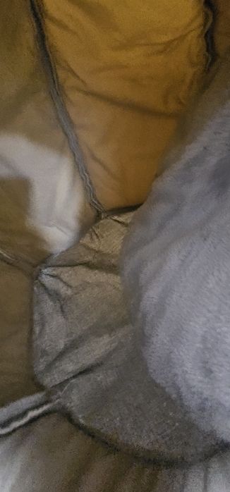 Pătuț pentru psici