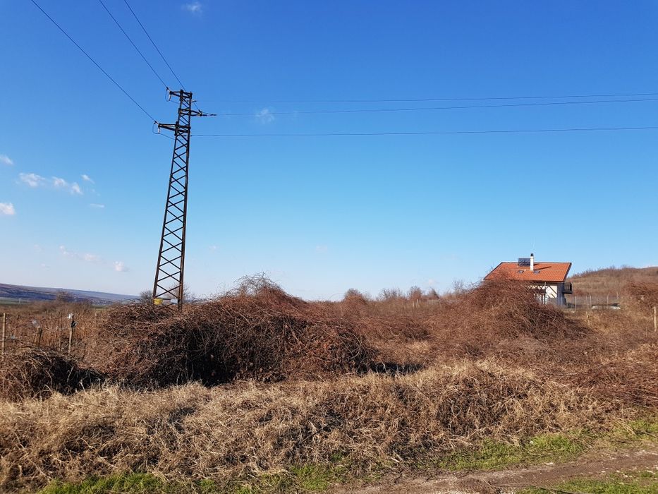 Парцел-къпини ,бивше лозе