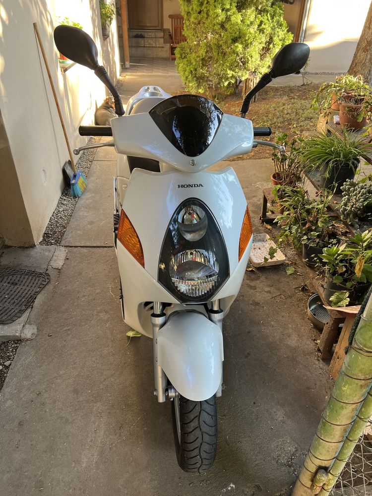 Scooter Honda NES/150cm.