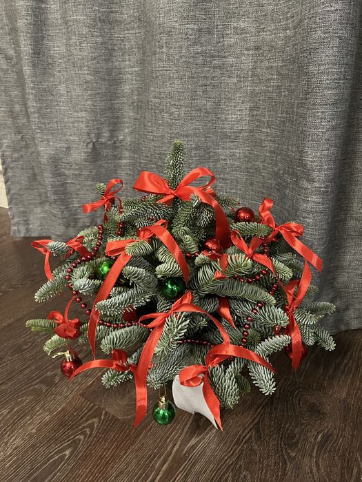 Новогодние композиции из нобилиса