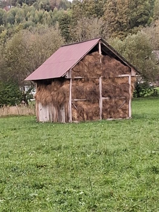 Baloti de vânzare