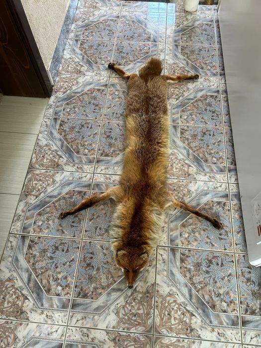 Blana din vulpe naturala