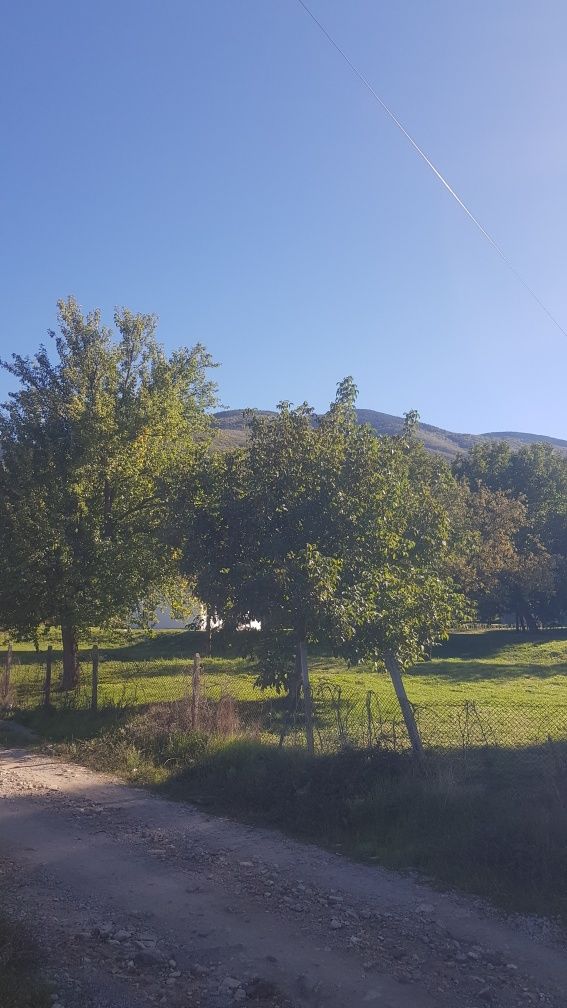 Продава се Парцел в Сапарева баня - 3500 кв.м за 46 €/кв.м - Снимка #2