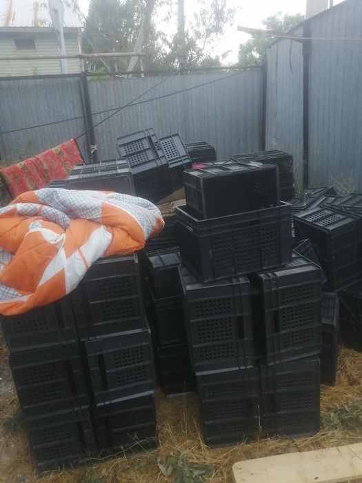 Ящик. Тара по 1000тг