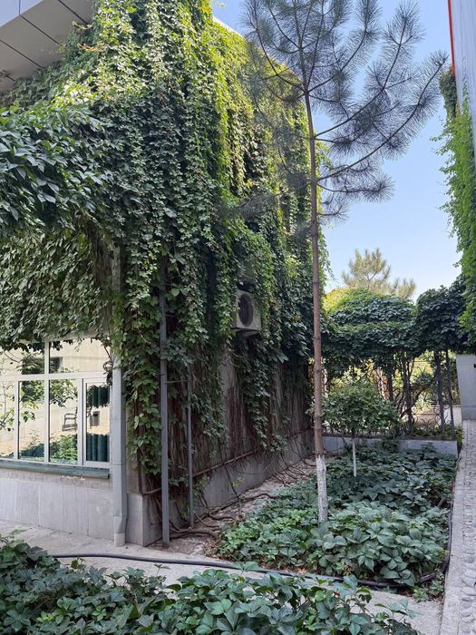 ‼️IJARA/АРЕНДА ‼️ Talabalar, abituriyentlar va ishlaydiganlar uchun.