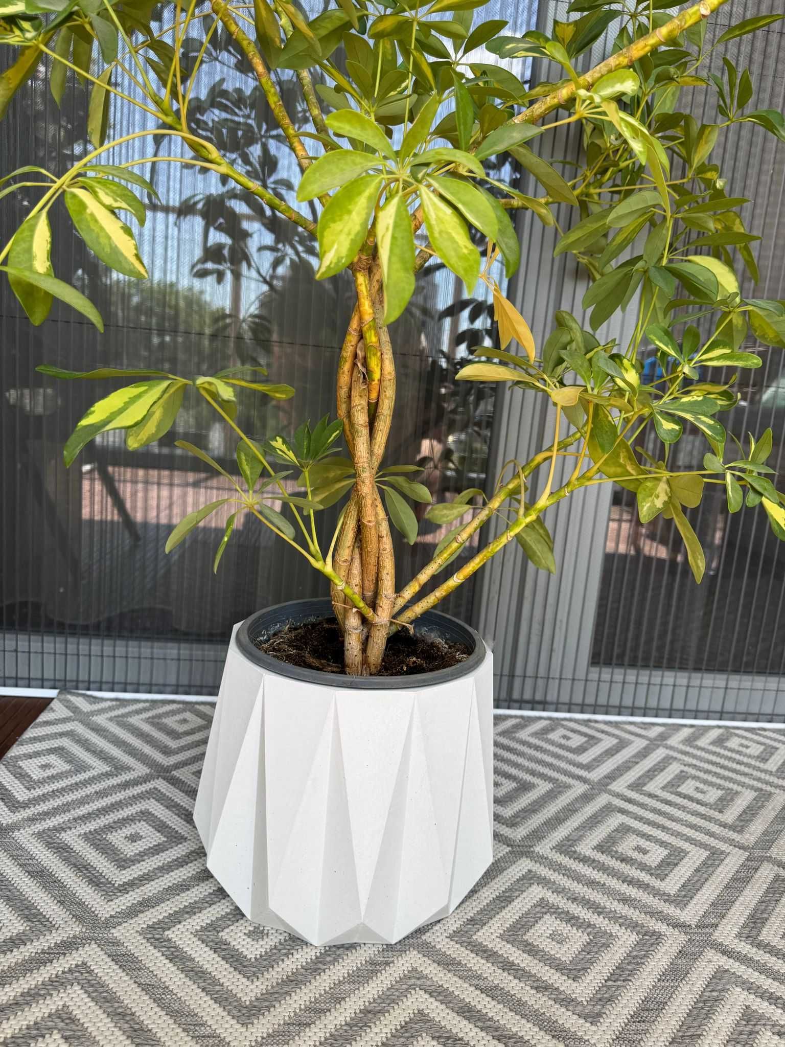 Ghiveci beton decorativ premium – model Tecton – 7 kg