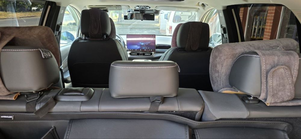 Gac aion v plus 2024