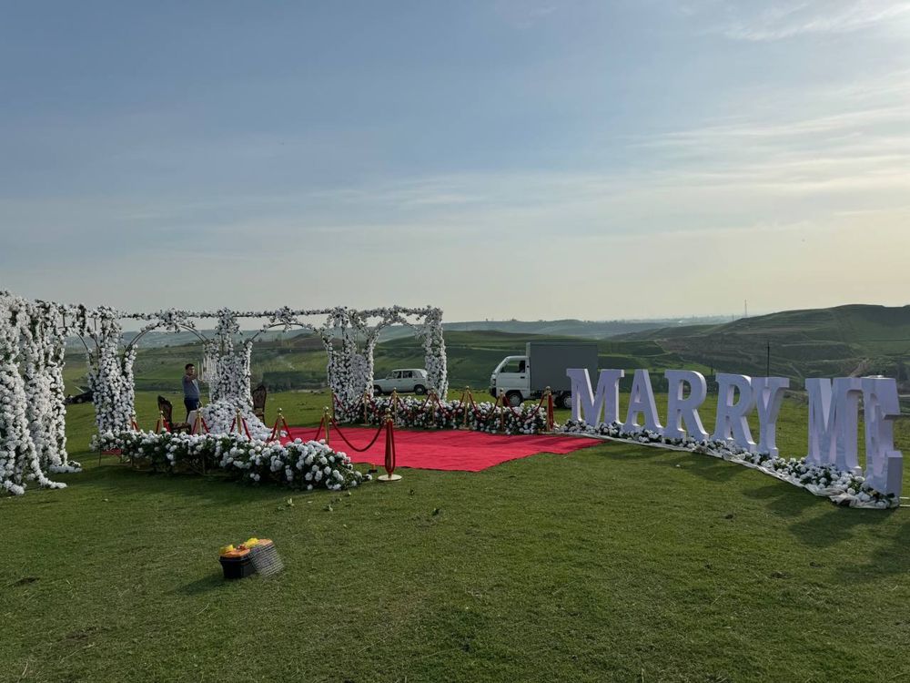 Marry me decor will you marry me