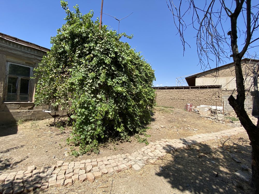 Samarqand darvoza yer hisobuda sotiladi 4 Sotix