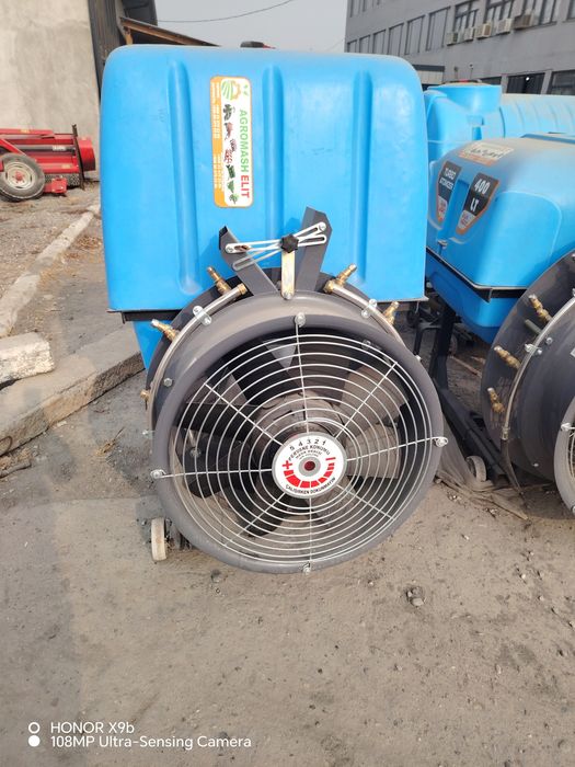 Boglarga dori sepgich