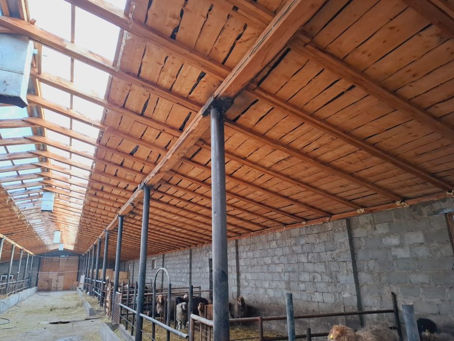 Продам крестьянское хозяйство, откорм площадка