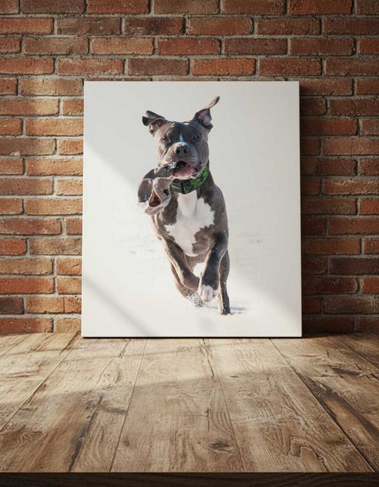Tablou Canvas in oferta