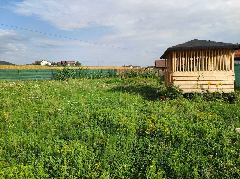 Teren intravilan 939 mp Sânpetru – PUZ aprobat, foișor și puț forat