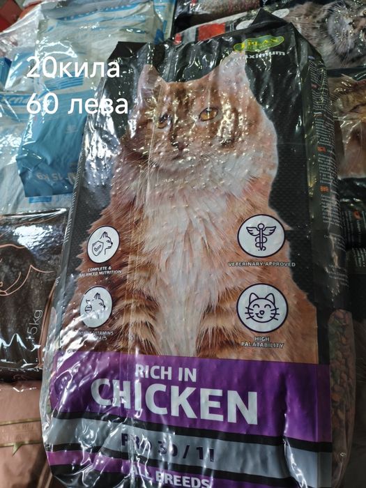 Кучешка храна котешка храна
